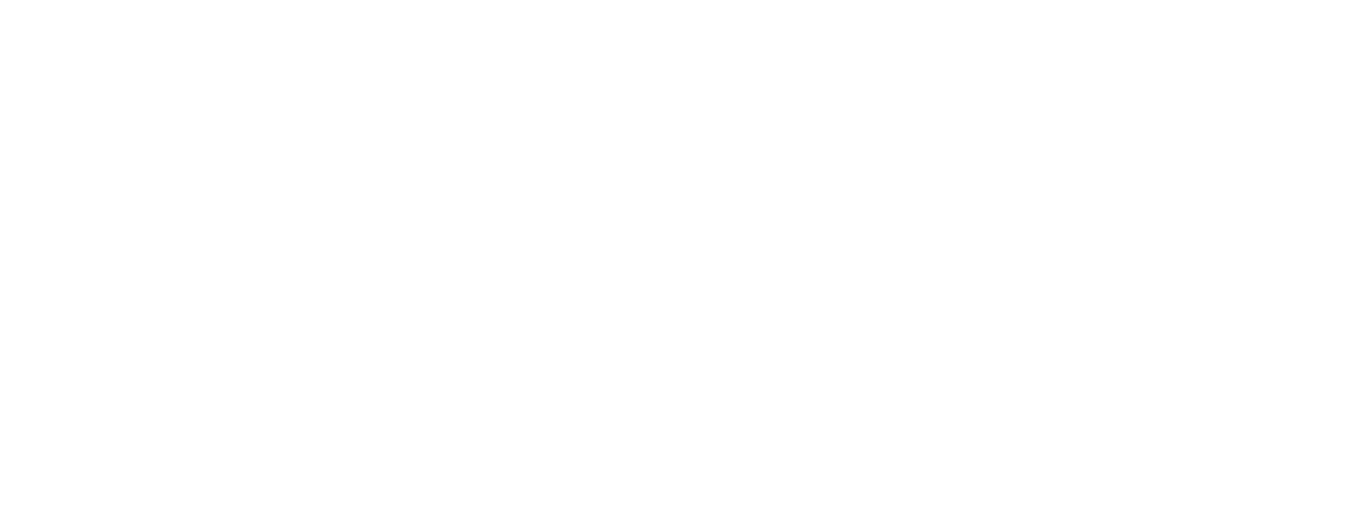 Vidyashray Education Academy Logo White
